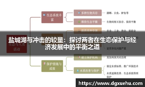 盐城湖与冲击的较量：探讨两者在生态保护与经济发展中的平衡之道